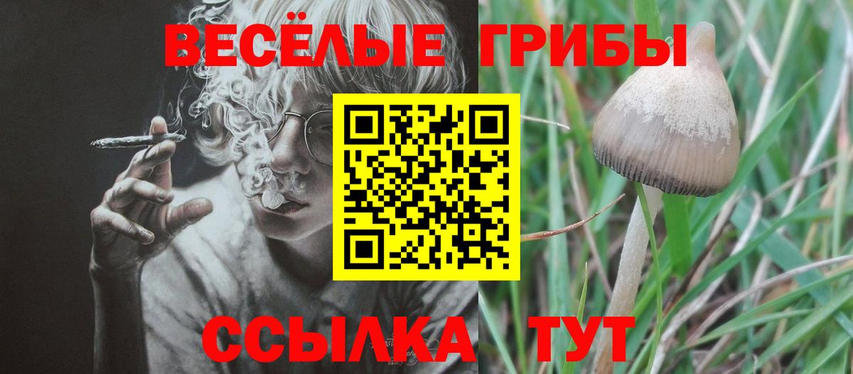 Alpha-PVP Заводоуковск