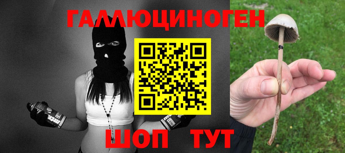 Псилоцибиновые грибы мухоморы Заводоуковск