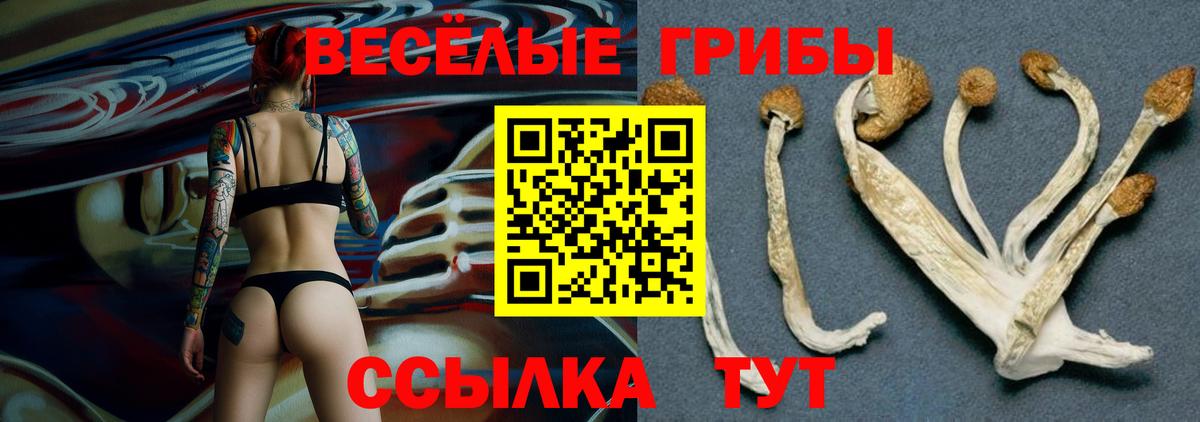 Заводоуковск  Галлюциногенные грибы прущие грибы  как найти закладки  Галлюциногенные грибы GOLDEN TEACHER  Вход с VPN 